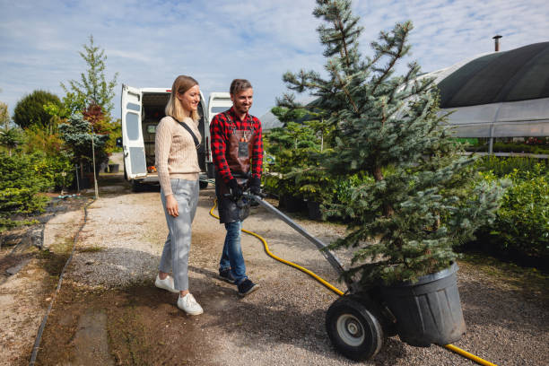  Glencoe, FL Tree Services Pros